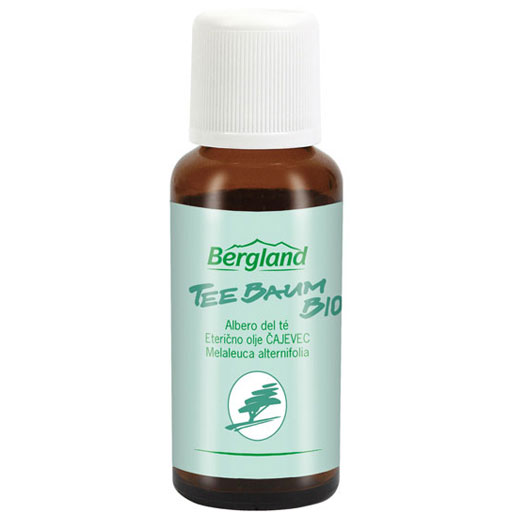 TEEBAUM ÖL  10 ml  Öl