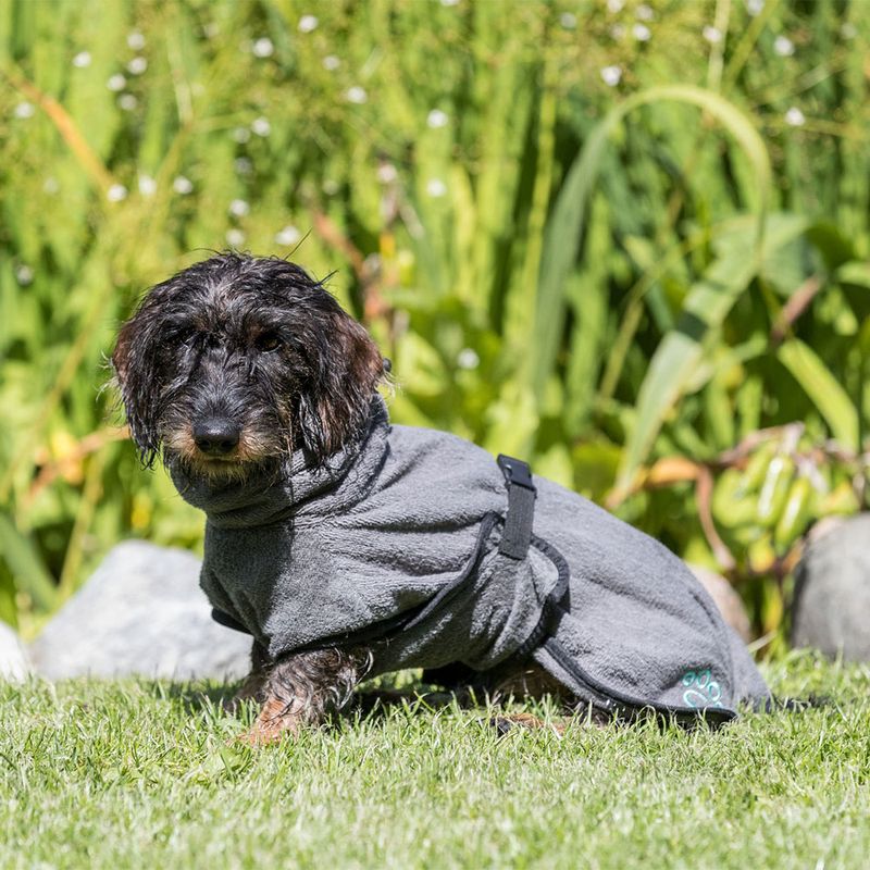 Trixie Bademantel für Hunde zu TOP-Preisen