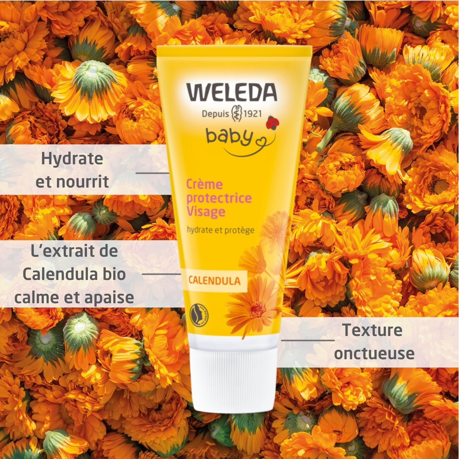 Weleda Calendula Baby Crème Protectrice Visage- Hydrate et Nourrit - 50 ml