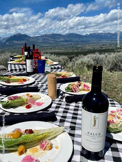 Staglin Family Vineyard : Salus Cabernet Sauvignon 2016