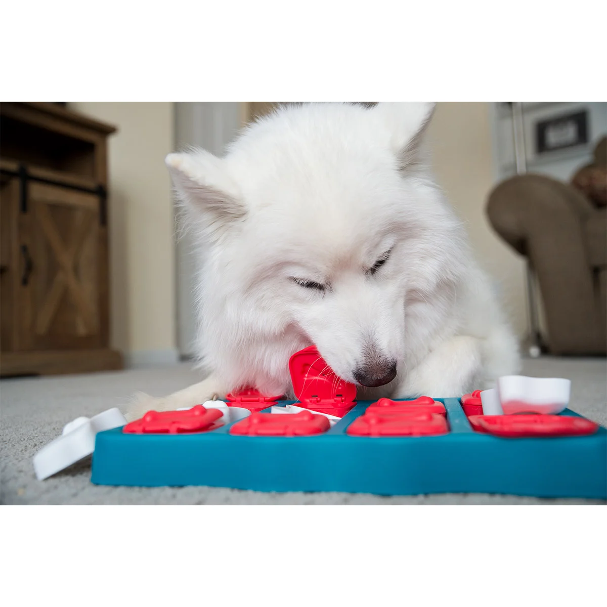 Dog Brick Intelligenzspielzeug günstig kaufen bei ZooRoyal
