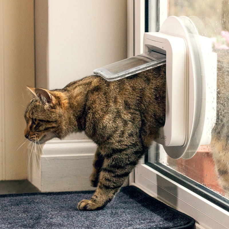 SureFlap Klappen & Türen SureFlap Mikrochipgesteuerte Katzenklappe weiß
