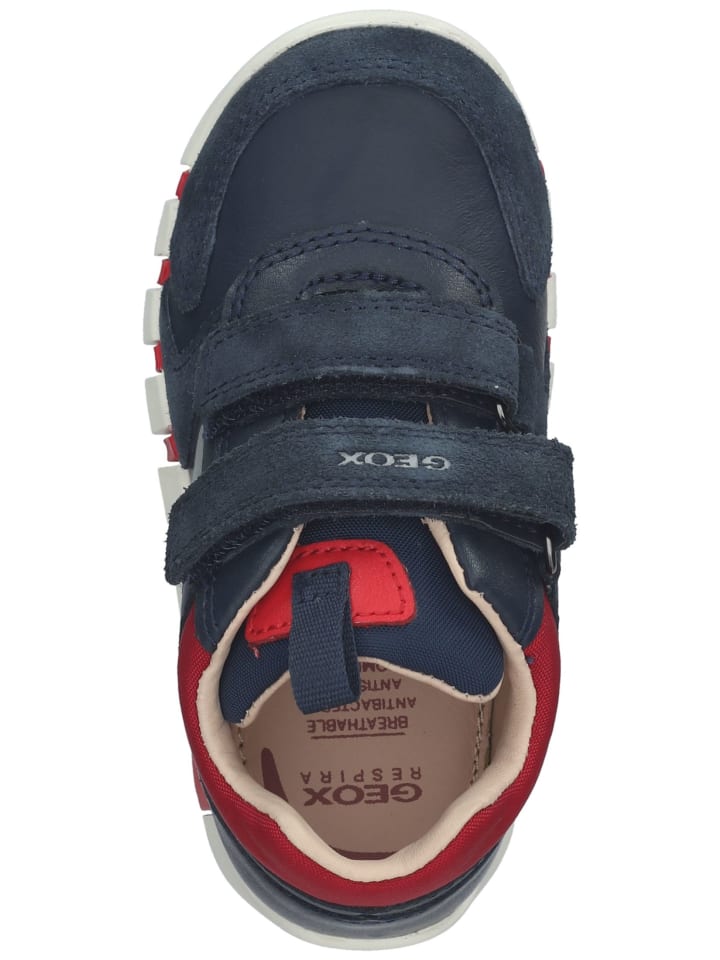 Geox Sneaker in Navy/Rot günstig kaufen