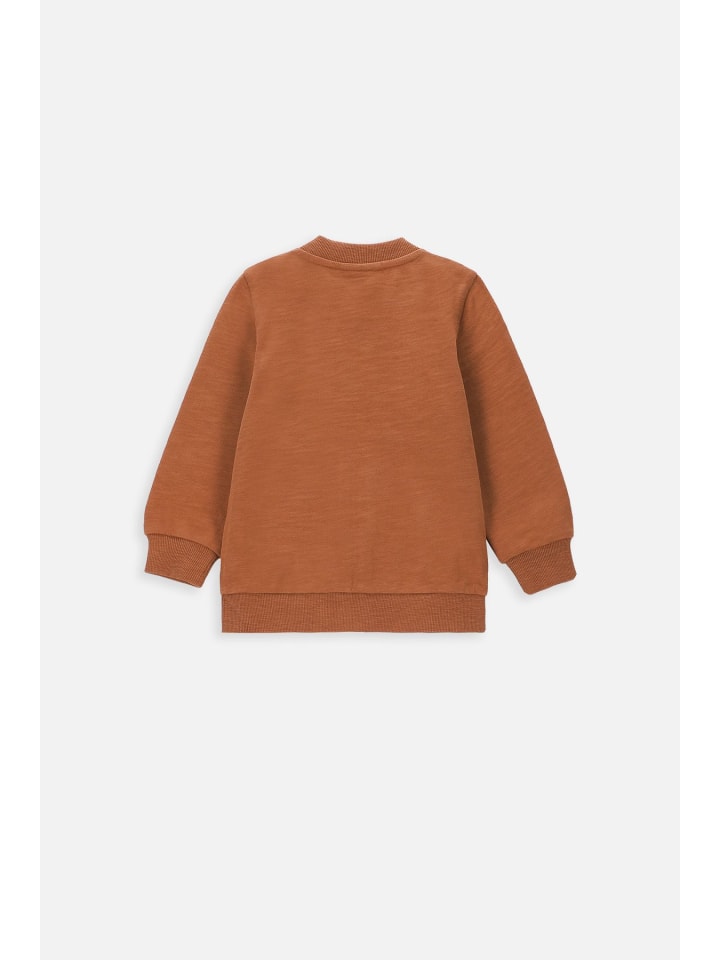 Coccodrillo Sweatshirt mit Reißverschluss in braun günstig kaufen