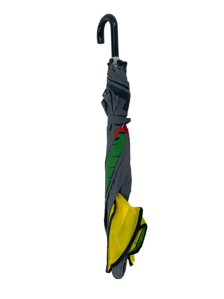 Yuhu.kids Regenschirm 3D Drache in Mehrfarbig günstig kaufen onesize