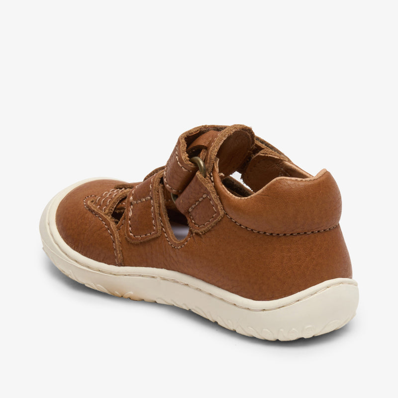 hana cognac - Braun