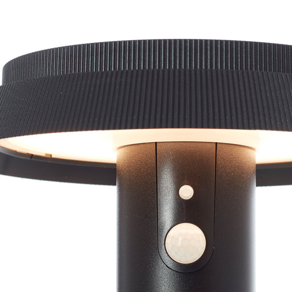 LED-Solar-Wegeleuchte Alvero mit Bewegungsmelder, 50 cm