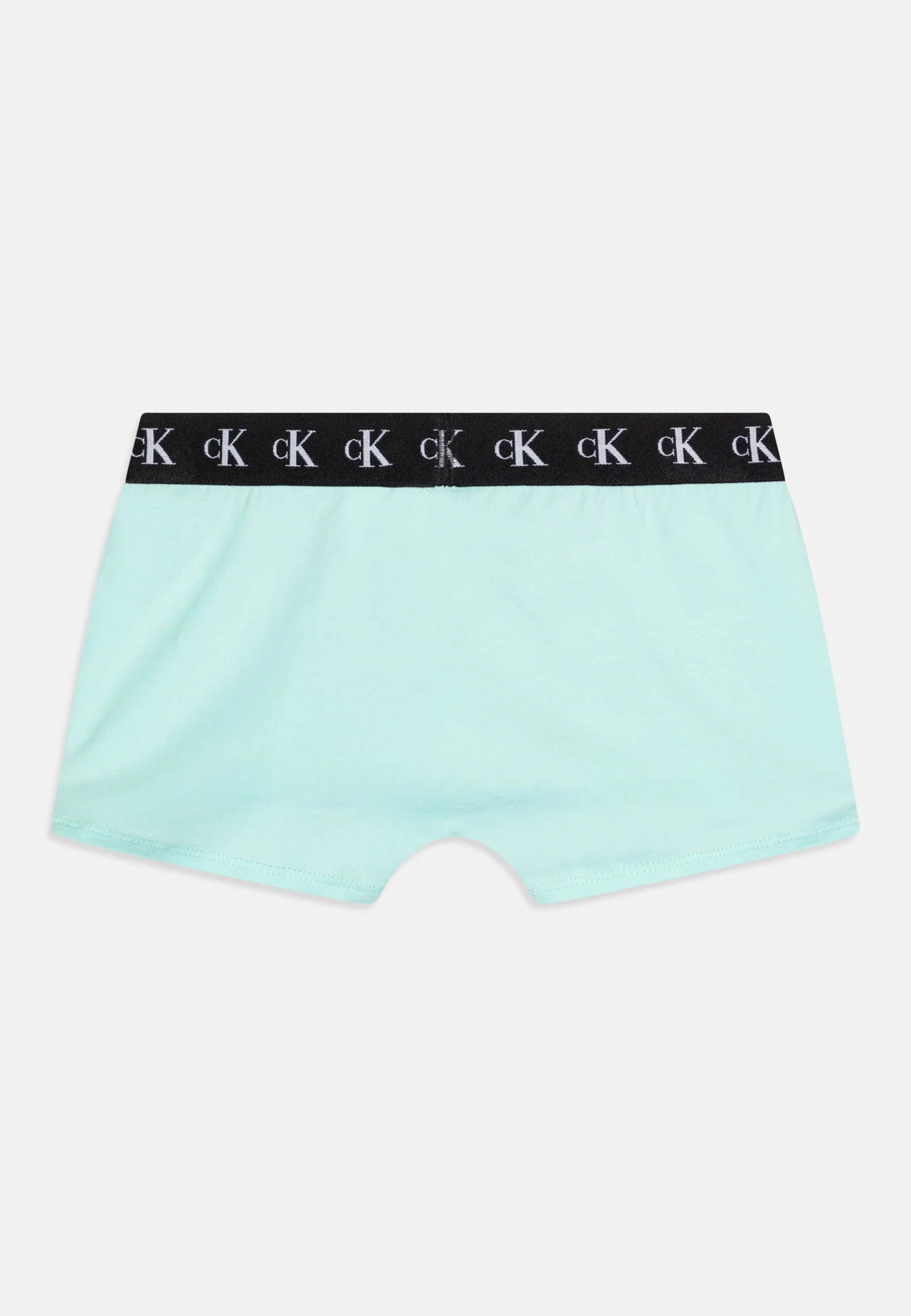 Calvin Klein Underwear TRUNK PACK DE 2 - Culotte