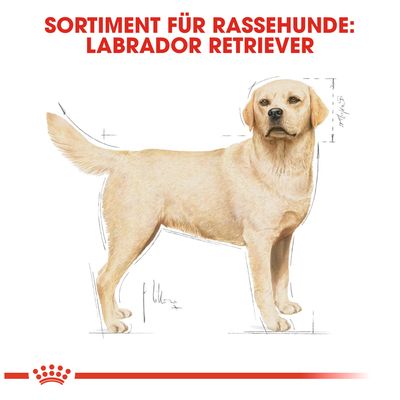 Royal Canin Labrador Retriever Adult