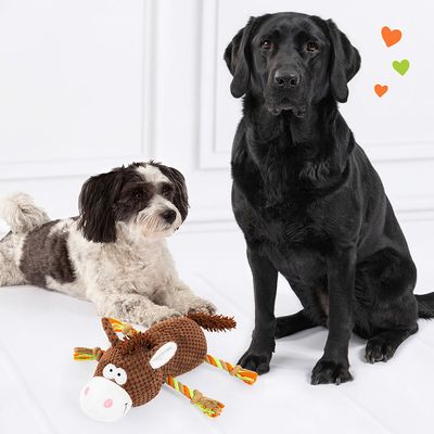Doglove Hundespielzeug Pferd