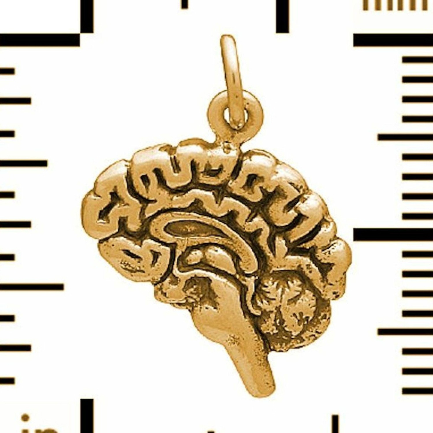 Kette mit Anhänger '3-D anatomisches Gehirn'