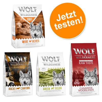 Wolf of Wilderness Adult Mix - getreidefrei