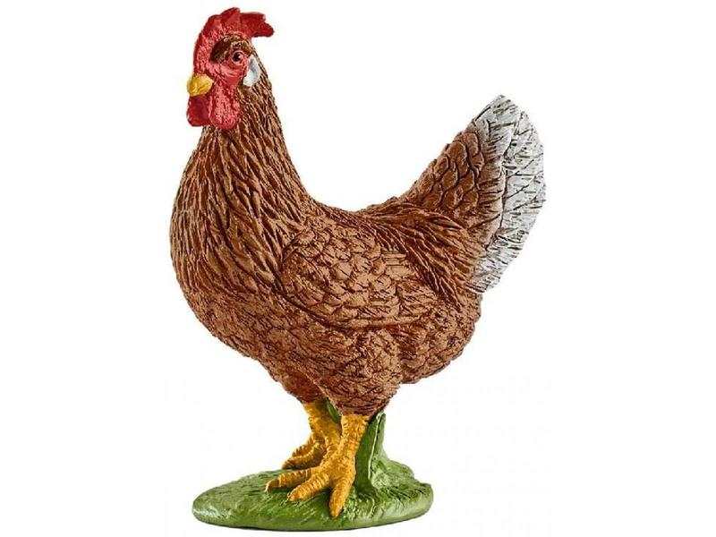 Poule