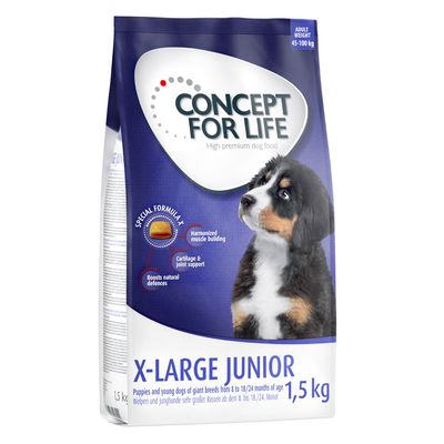 Concept for Life X-Large Junior