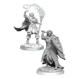 D&D Nolzur's Marvelous Miniatures Miniatur unbemalt Elf Cleric Male (2)
