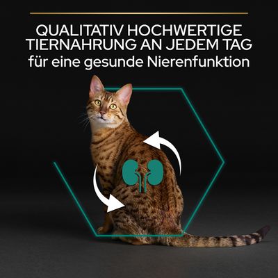 PURINA PRO PLAN Adult Renal Plus reich an Huhn