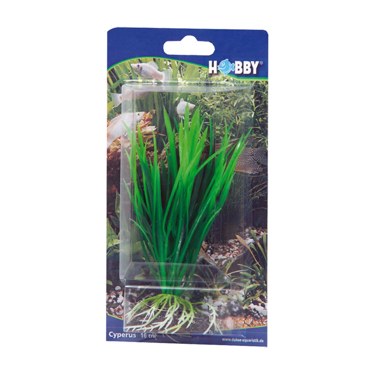 Hobby Aquariumdekoration Cyperus 16 cm kaufen