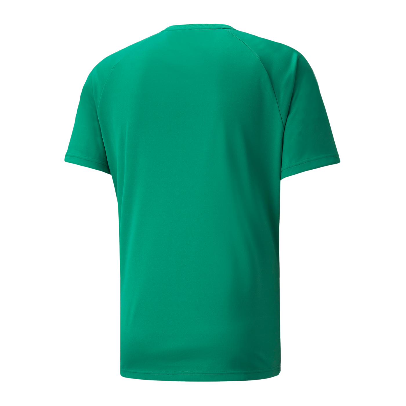 PUMA teamLIGA Striped Trikot Grün Schwarz F05