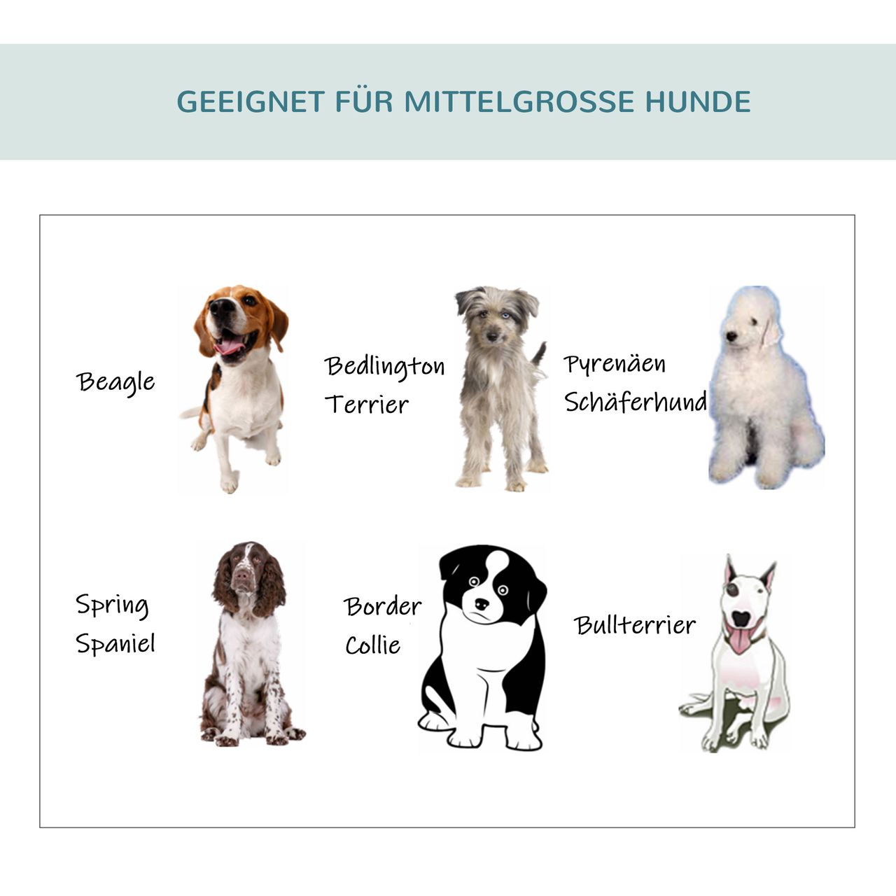 PawHut Hundebox Haustierrucksack mit Kissen faltbar Dunkelgrau 70 x 51 x 59 cm