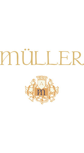 2020 Merlot - S - trocken - Weingut Axel Müller