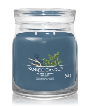 Yankee Candle Bayside Cedar Duftkerze-368 g