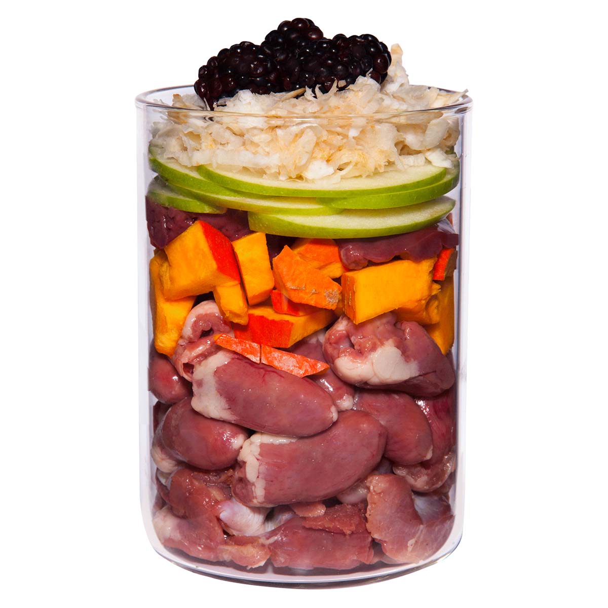 Terra Canis getreidefrei Huhn mit Pastinaken, Brombeeren und Löwenzahn