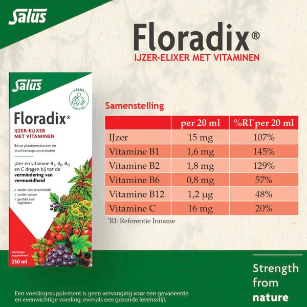Salus Floradix Liquid Iron Elixir 250ml