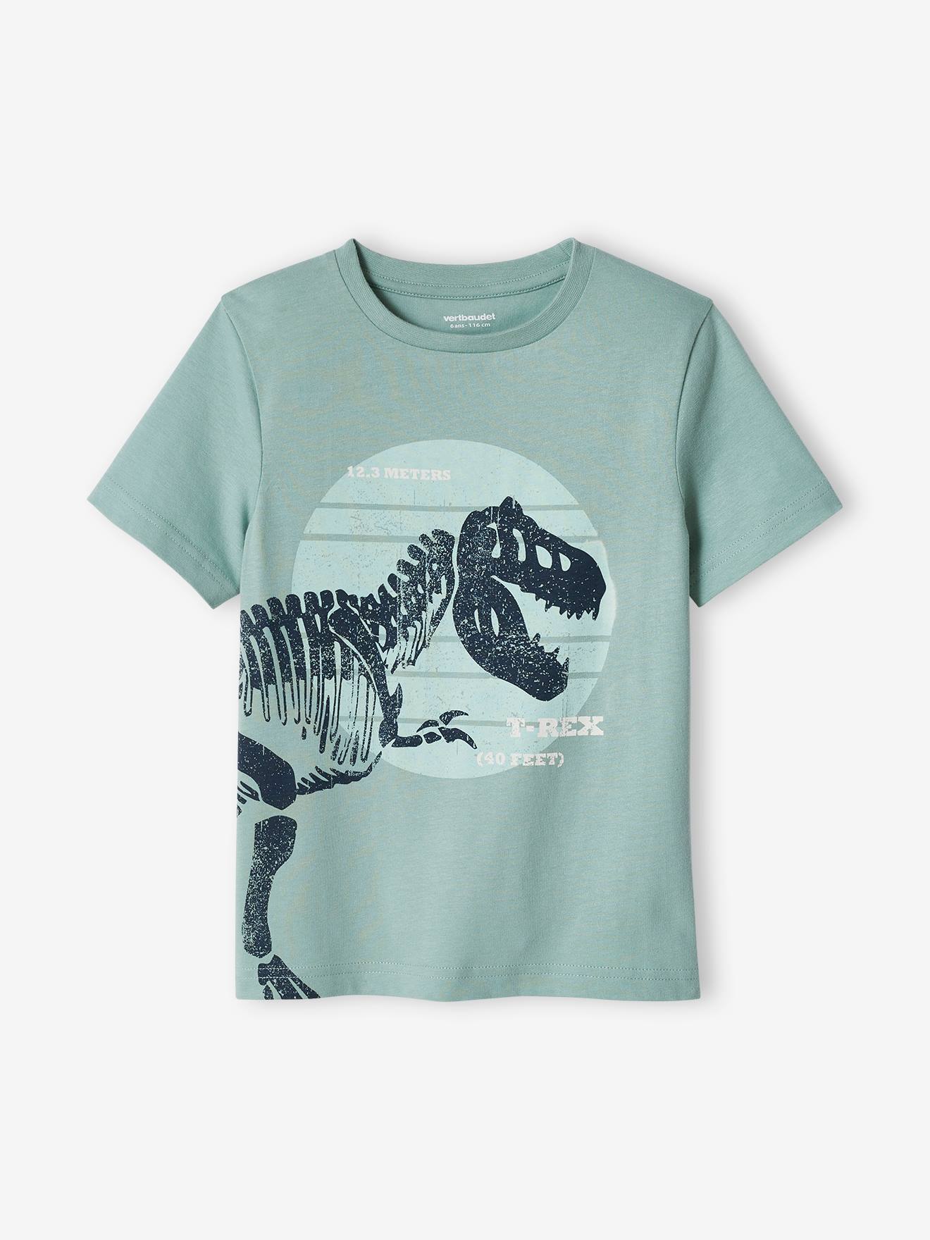 T-shirt motif dinosaure géant garçon menthe