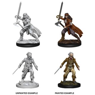 Vampire Hunters: Nolzurs Marvelous Unpainted Minis