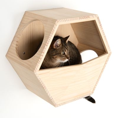 Modern Living Kratzmöbel - Katzen Parkour zur Wandmontage