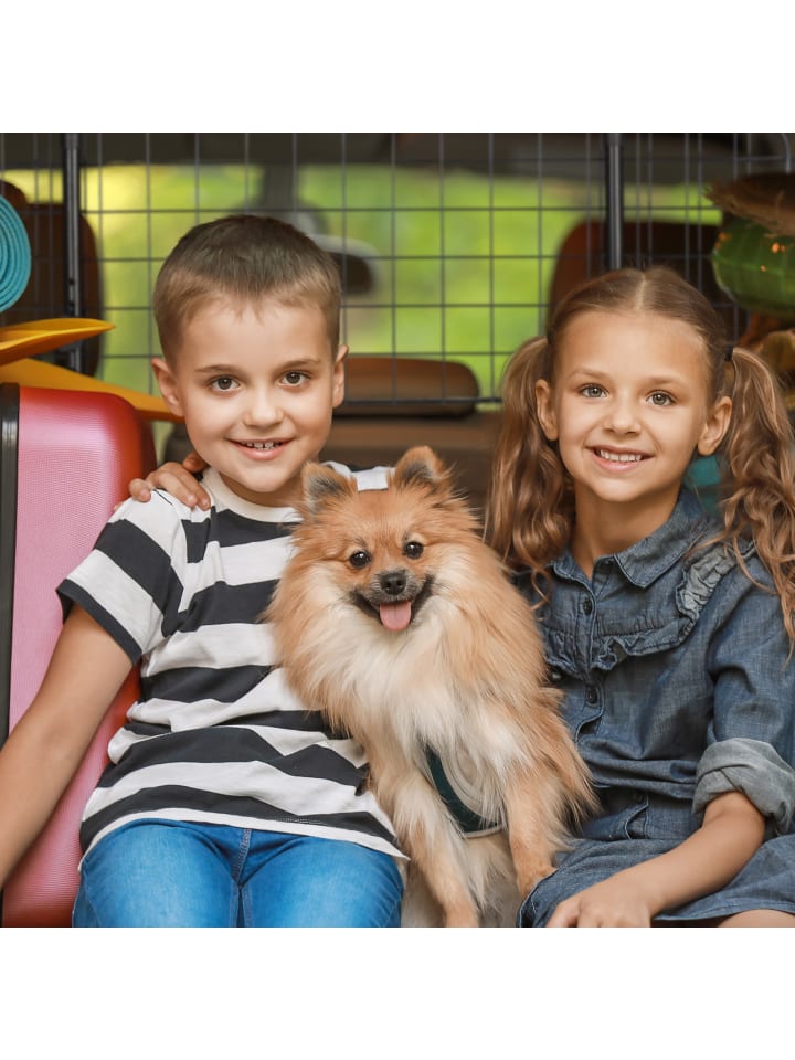 relaxdays Hundegitter Auto in Schwarz - (B)92-136 x (H)32 x (T)5 cm günstig kaufen onesize