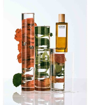 LOEWE Pour Homme Eau de Toilette-100 ml