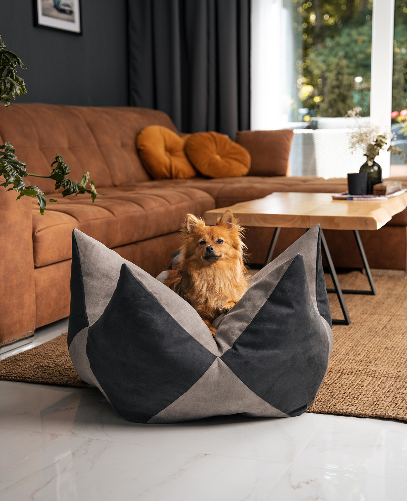 Lionto Hundebetten Lionto Hundebett - Kronenkissen grau/ schwarz L