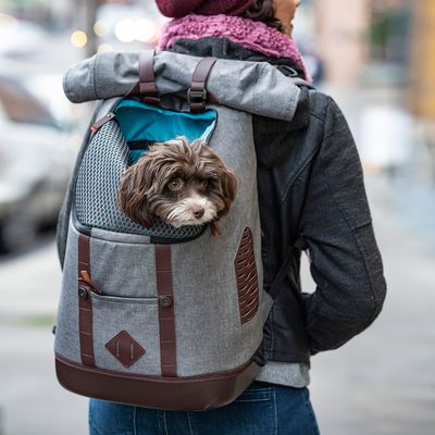 KURGO K9 Rucksack