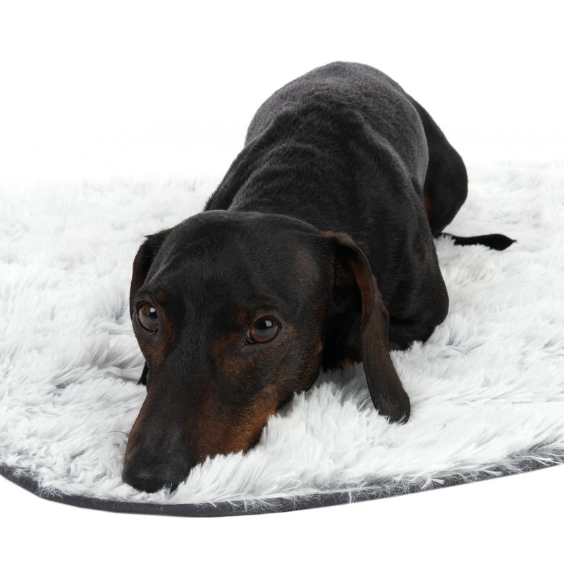 TIAKI Hundedecke Cloud zu TOP-Preisen