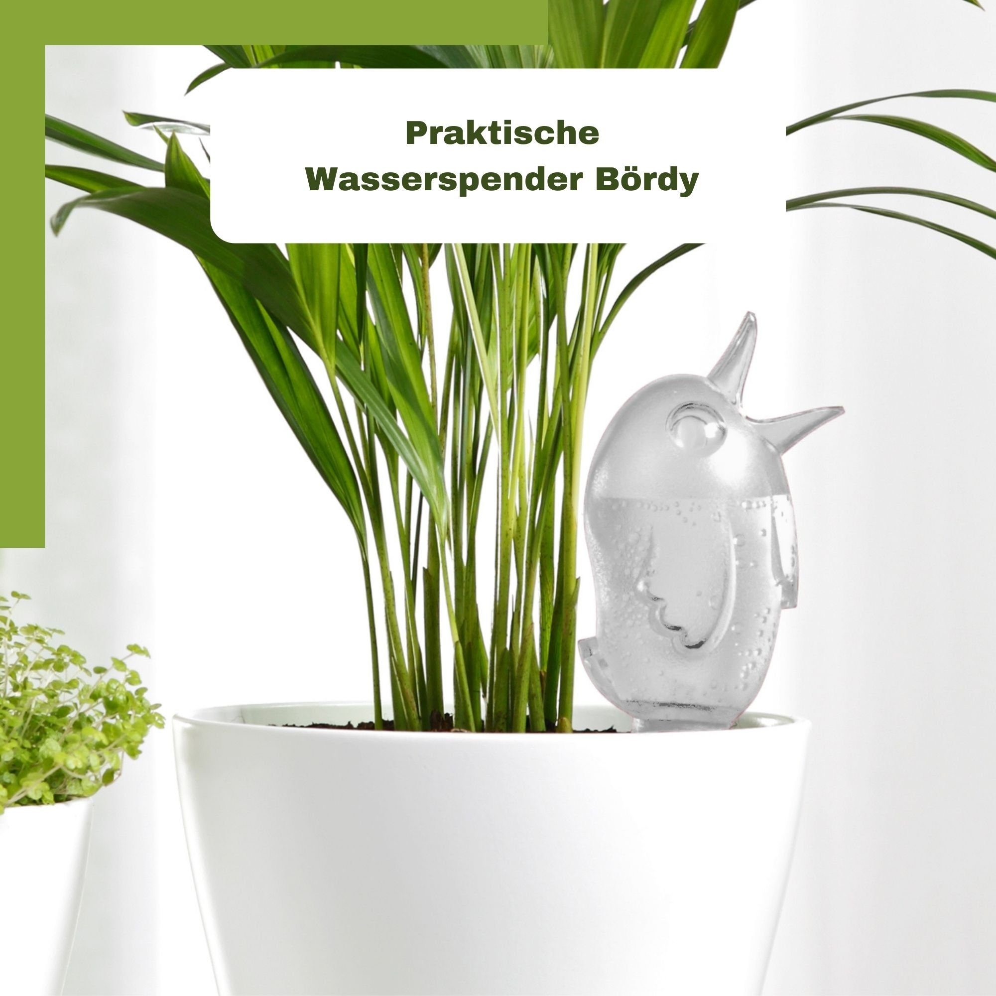 Scheurich Bewässerungssystem -, (Spar-Set, 2-tlg), Scheurich Wasserspender Bördy S 90 ml