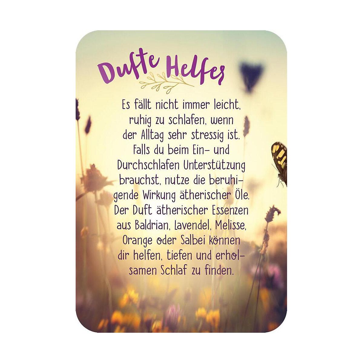 Schlaf gut! 50 Einschlafkärtchen für dich