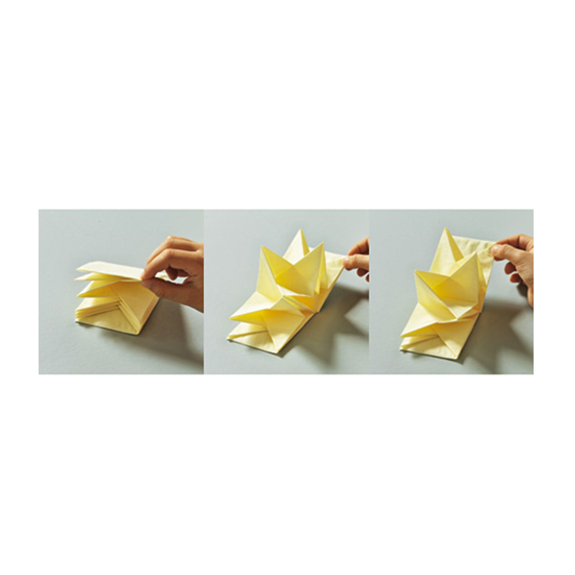 Lot de 12 serviettes prépliées