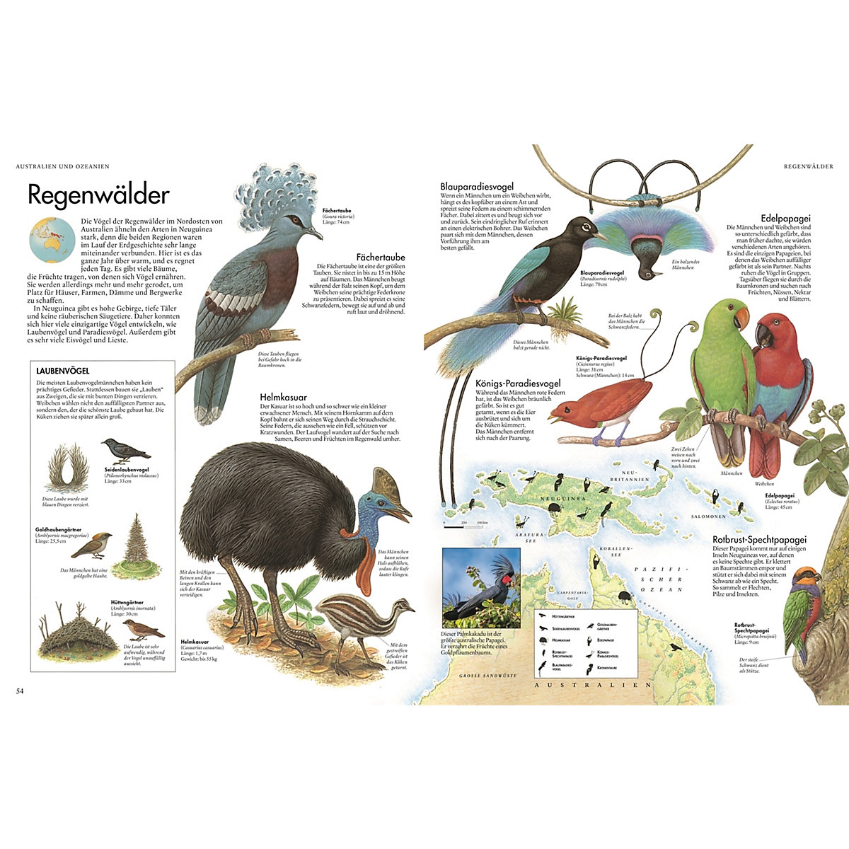 Atlas der Vögel