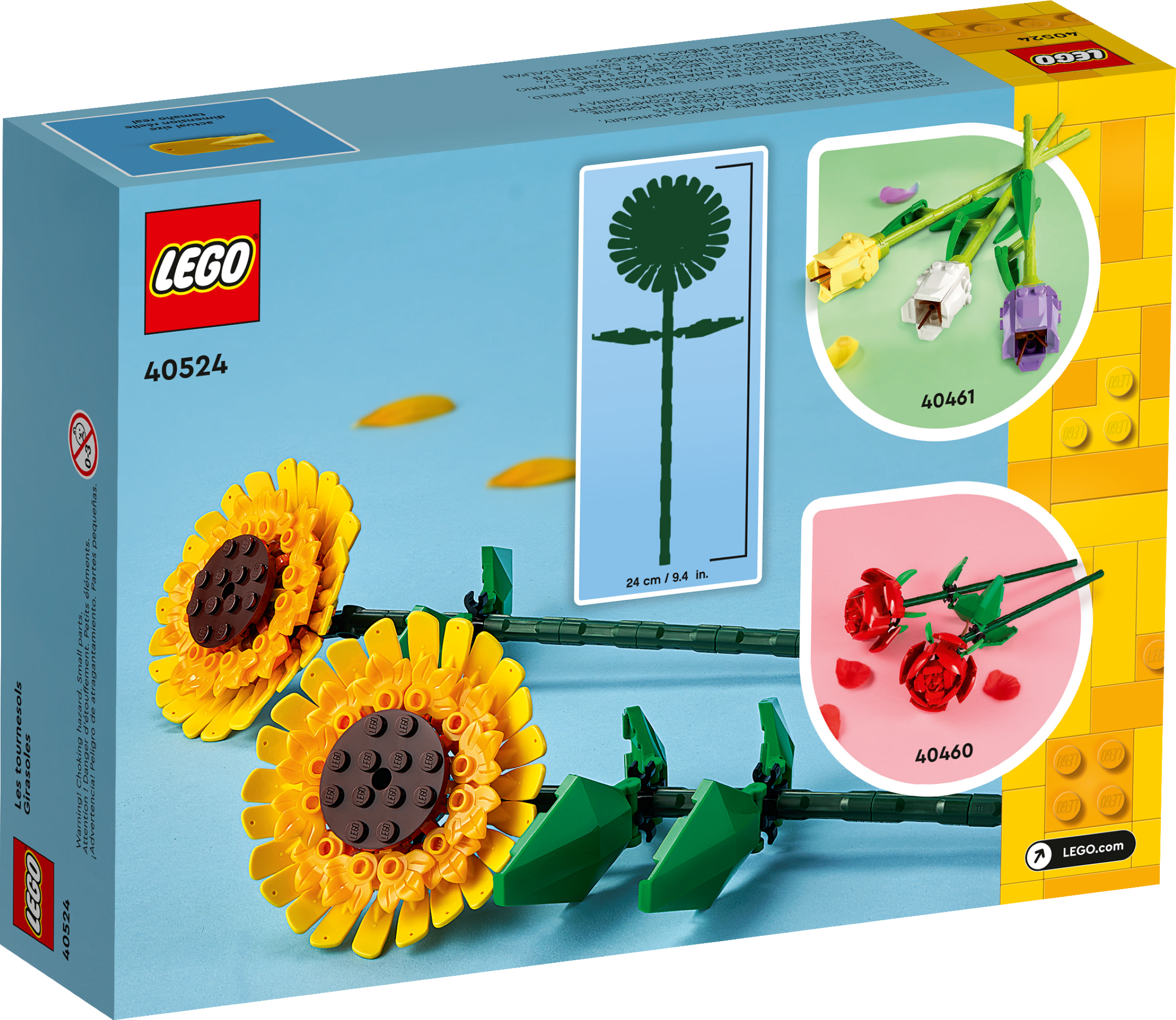 Sonnenblumen 40524