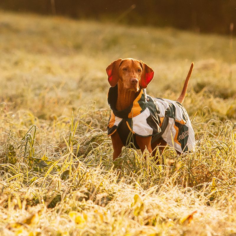 Rukka Stormy Hundemantel, camouflage zu TOP-Preisen | bitiba %