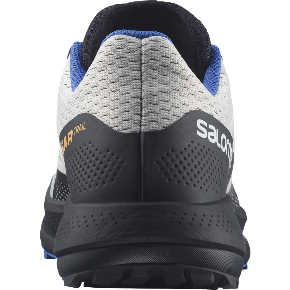 Salomon Pulsar Trail L41602700 / grau