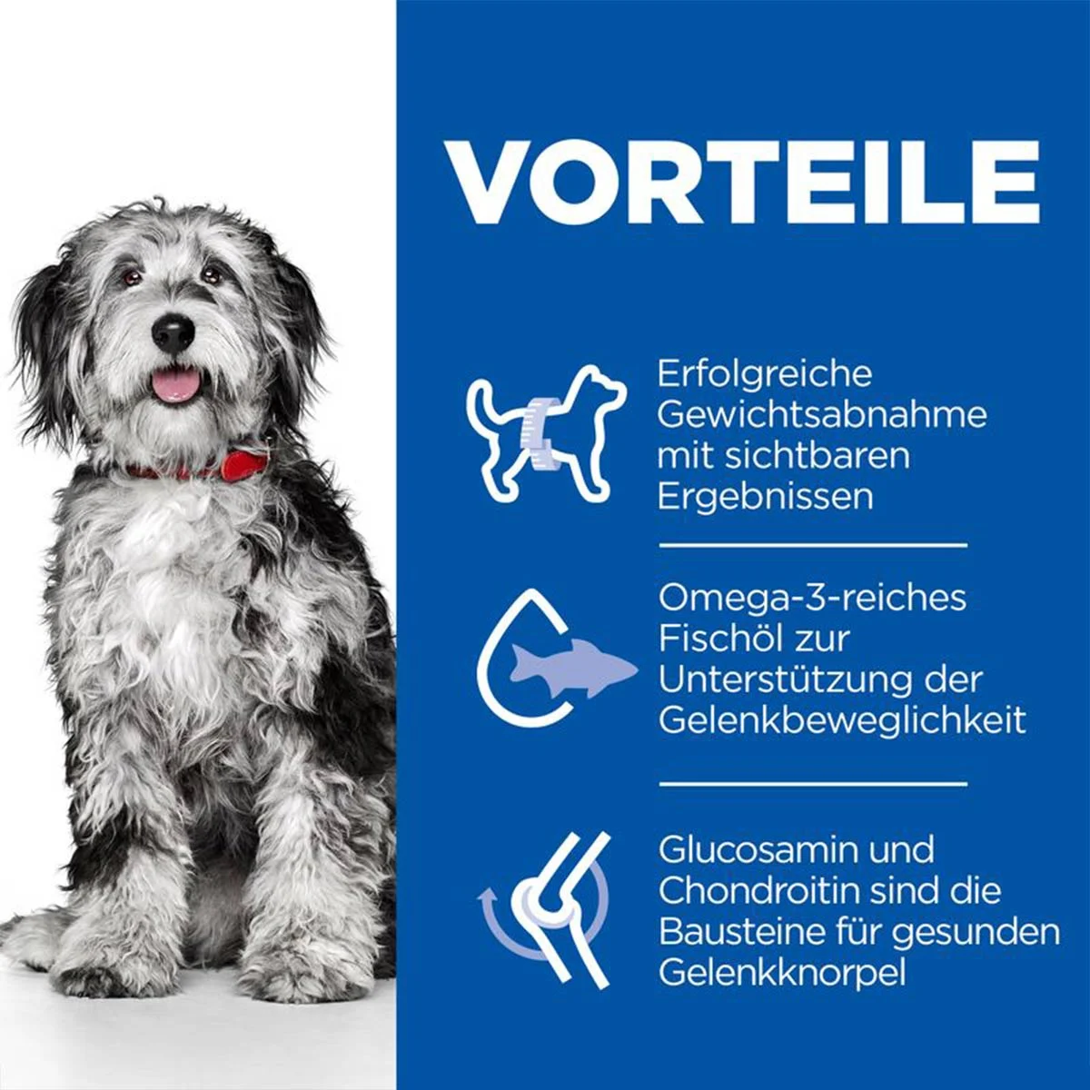 Hill's Science Plan Hund Perfect Weight + Active Mobility Medium Adult Huhn 2,5kg