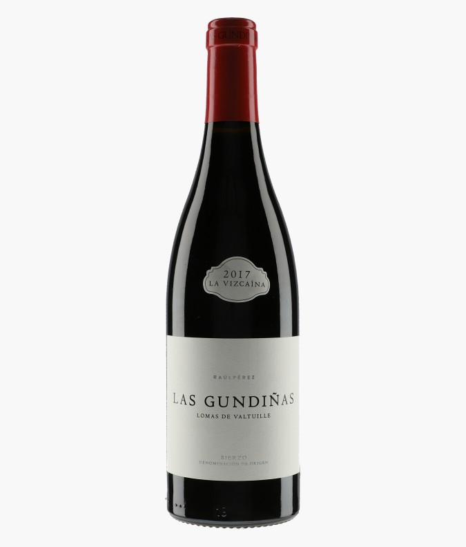 Las Gundinas 2017PEREZ RAUL
