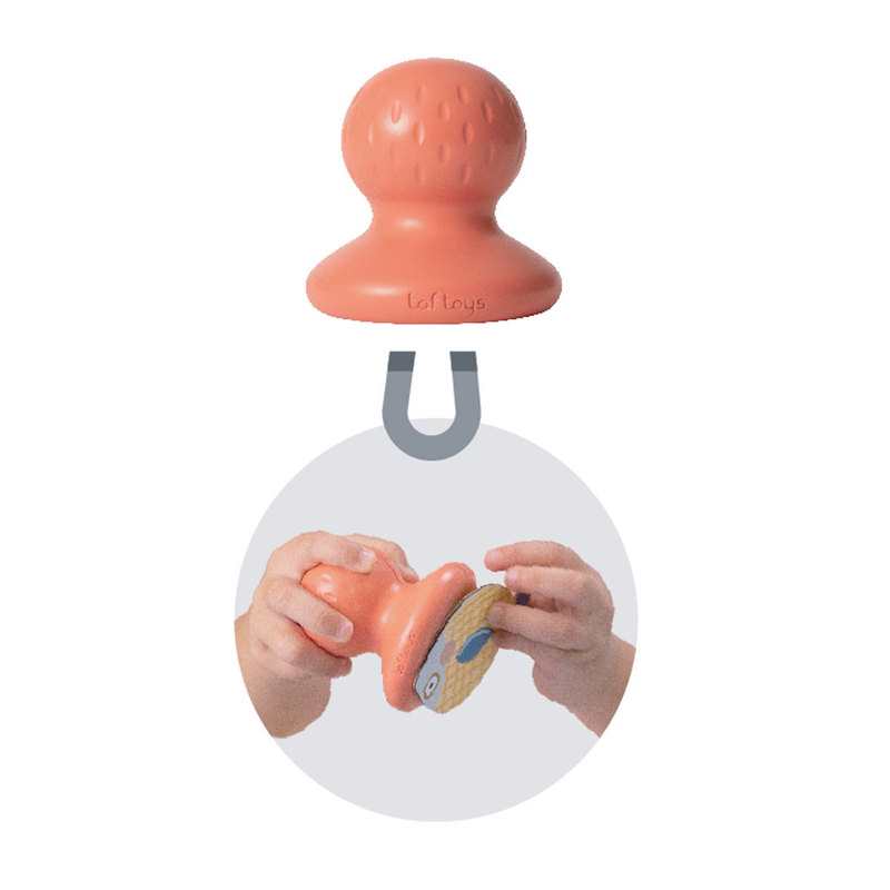 Mon premier jeu de pêche magnétique évolutif Taf Toys