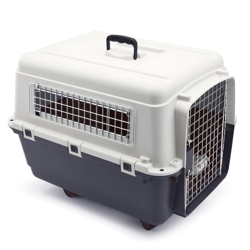 Sparset Transportbox Feria Andes + Fleecedecke Pawty | bitiba %