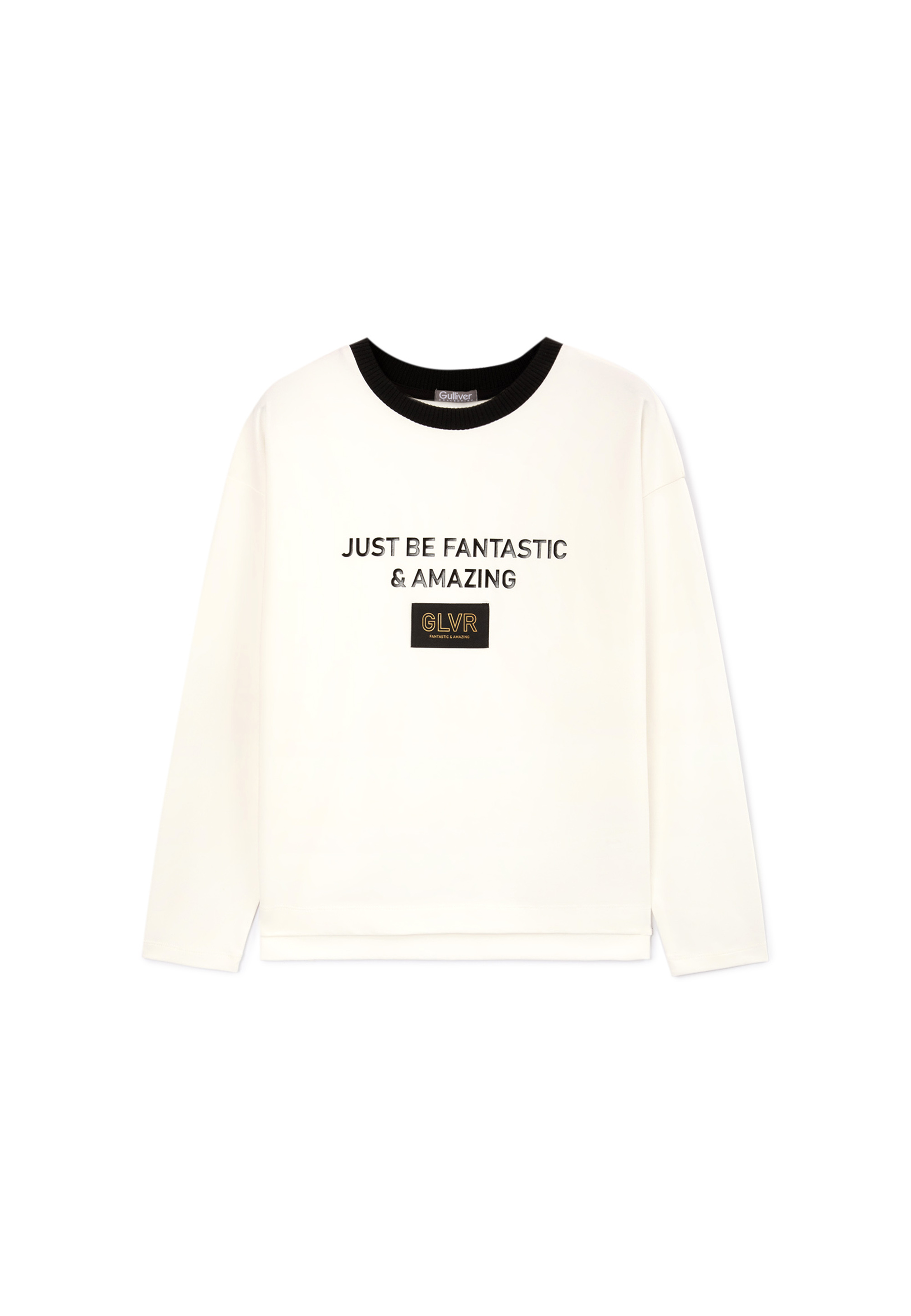 Sweatshirt