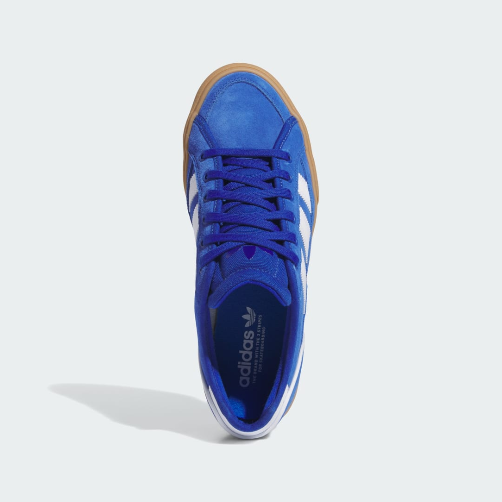 adidas Court TNS Premiere IE3112 / blau