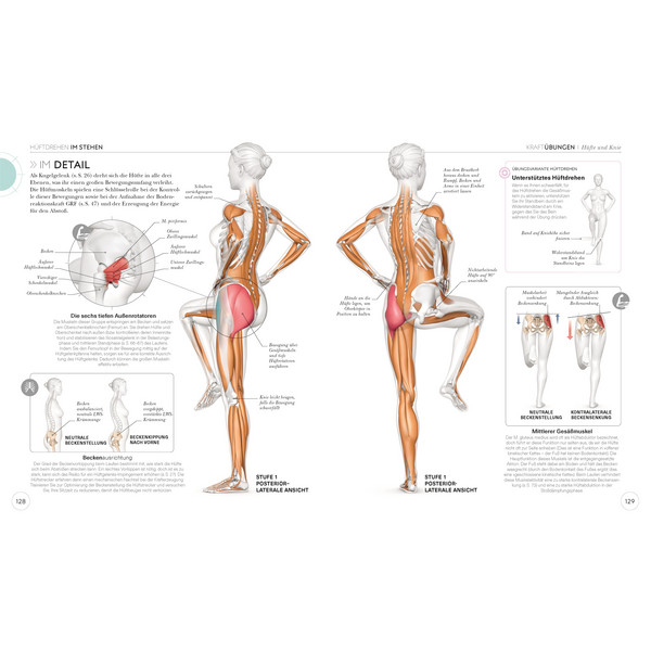 LAUFTRAINING - DIE ANATOMIE VERSTEHEN - Sportratgeber
