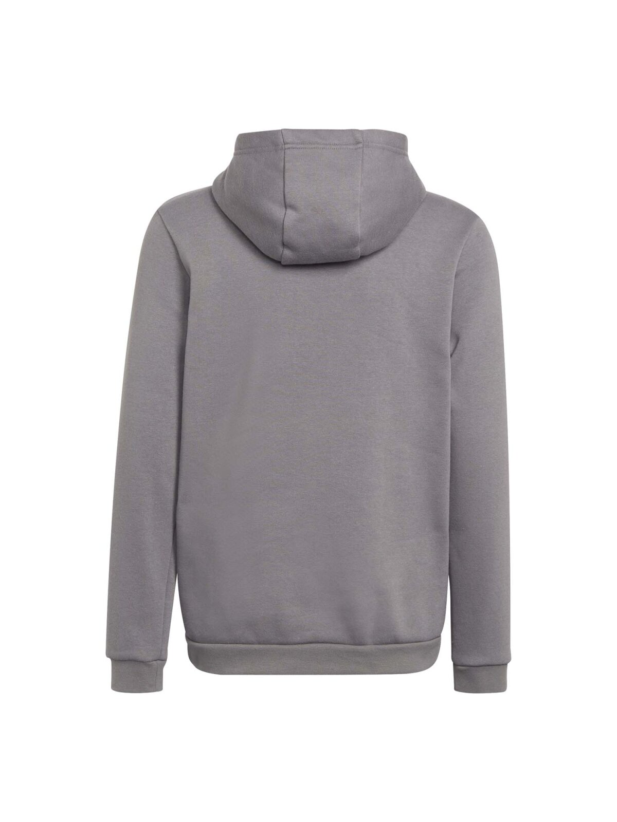 Adidas Entrada 22 Kinder Hoodie grau
